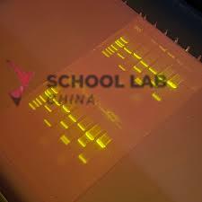 EDVOTEK SYBR Safe Stain